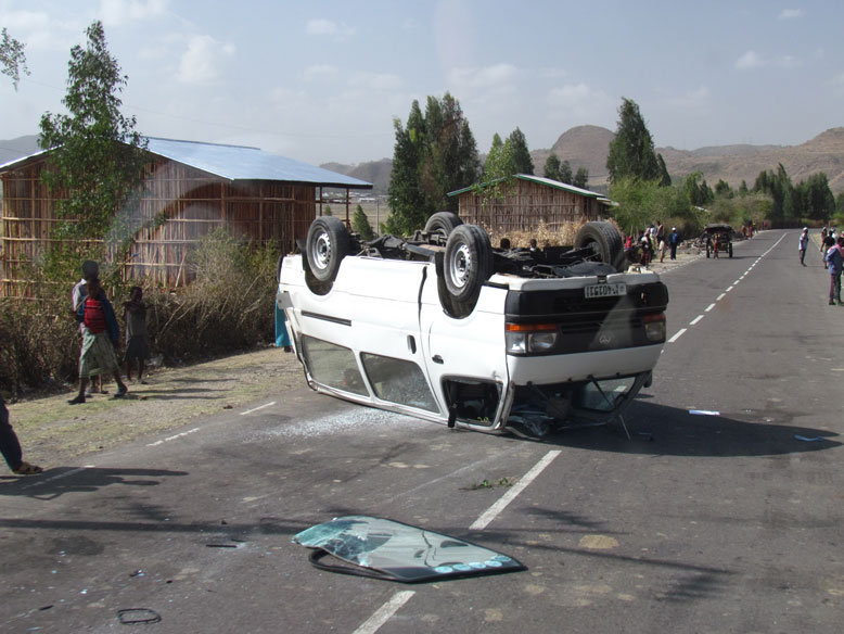foto de estado habitual de los matotus